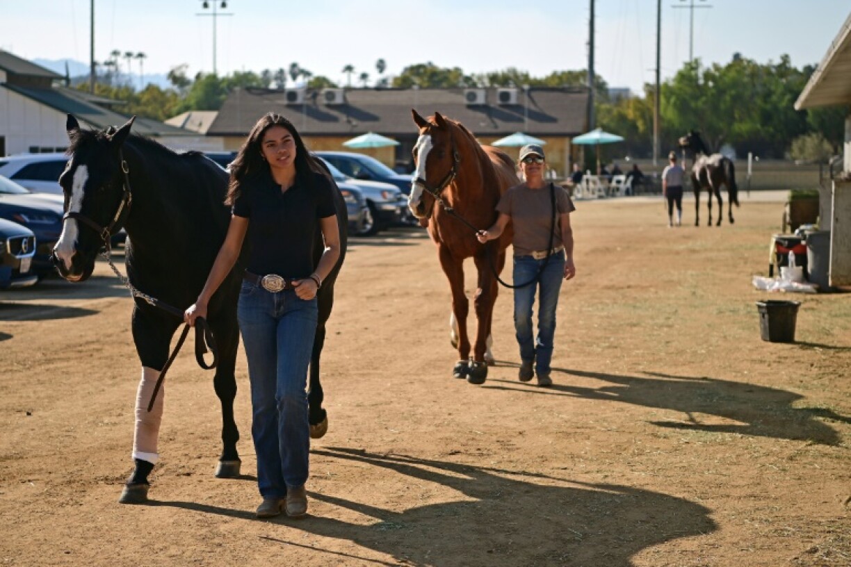 Hundreds of animals that have been made homeless by the Los Angeles fires have found a temporary home at the Los Angeles Equestrian Center