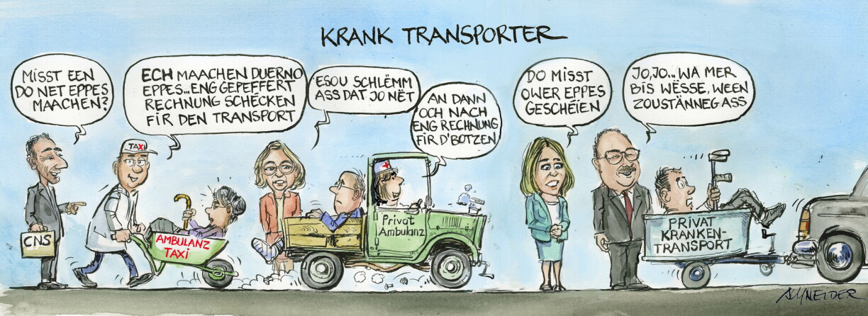 Cette caricature a été envoyée avec le communiqué par l'ASBL. Elle résume la situation de la sorte: les autorités regardent, la CNS se demande s'il ne faut pas intervenir et pendant ce temps, les services roulent et facturent comme bon leur semble.