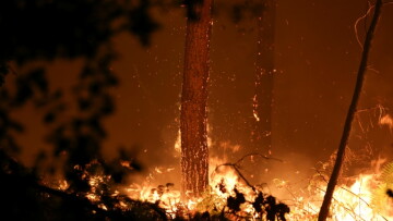 Des braises incandescentes jaillissent d'un tronc d'arbre en feu alors qu'un incendie de forêt fait rage dans la forêt des Landes, à Luglon, dans le sud-ouest de la France, aux premières heures du 14 août 2026