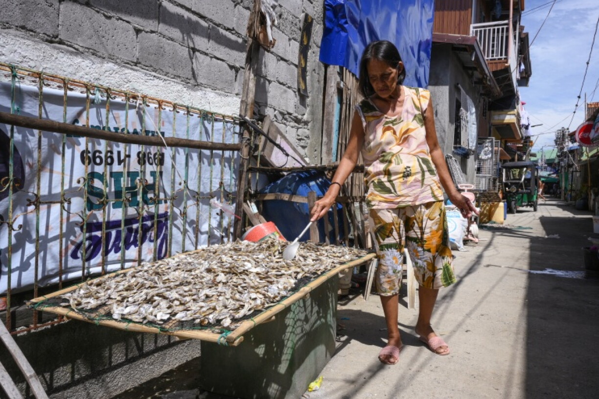 Arsenia Cabigao, 58, sun dries fish at Pamarawan Island in Malolos City, Bulacan province in the Philippines