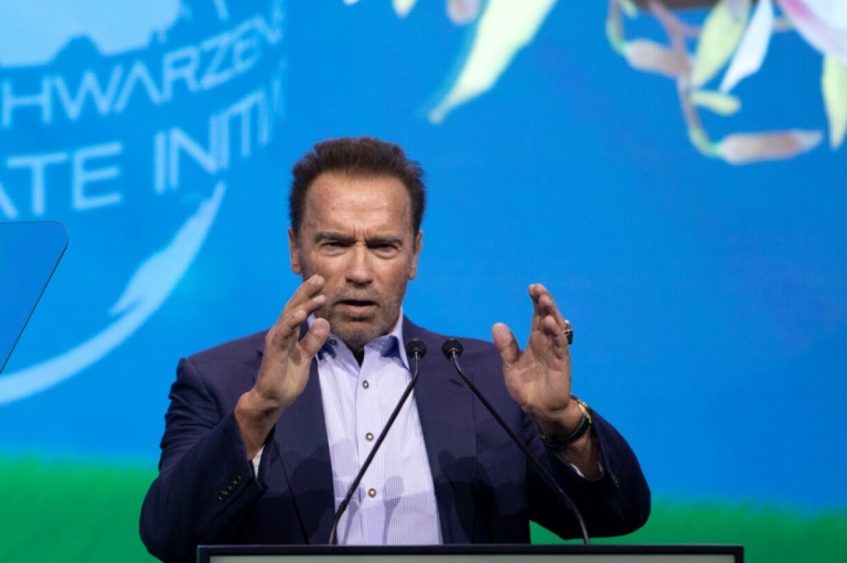 L'acteur Arnold Schwarzenegger à Vienne, le 1er juillet 2021