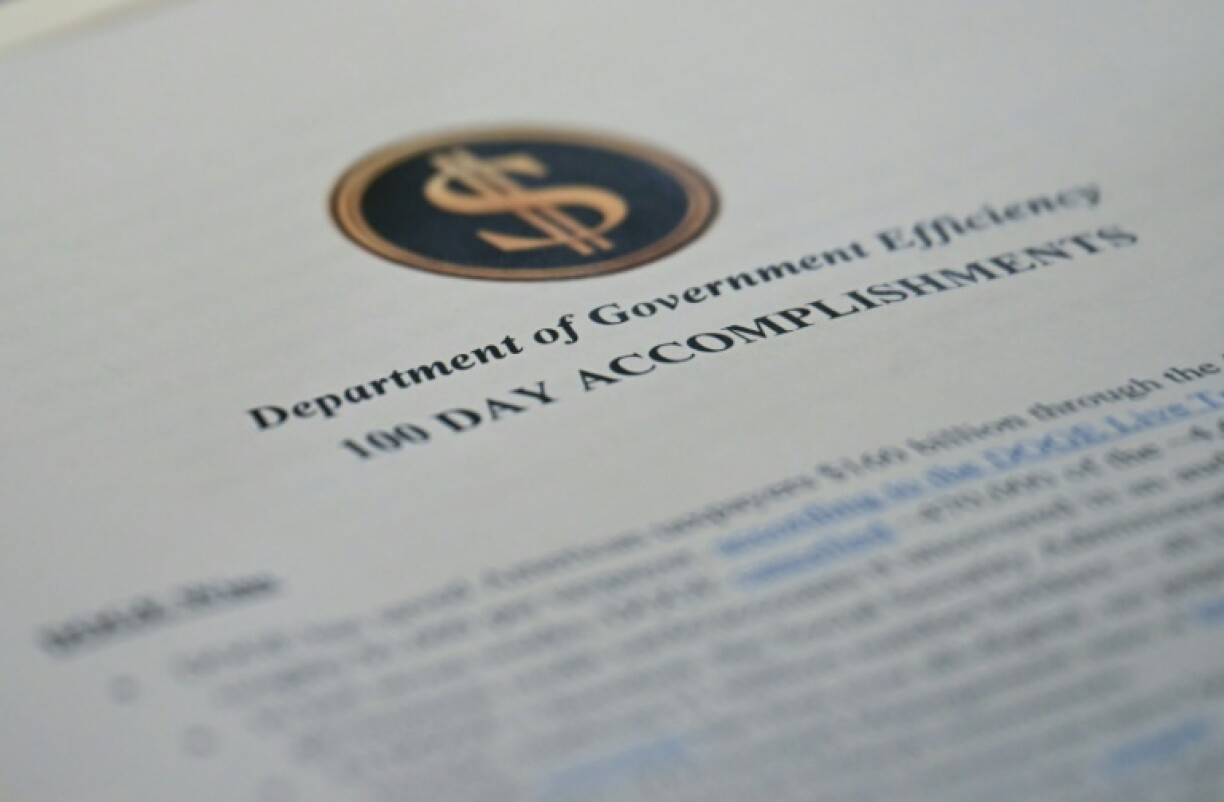 Donald Trump has tasked Elon Musk with implementing a federal cost-cutting drive, which the billionaire has conducted through the Department of Government Efficiency (DOGE)