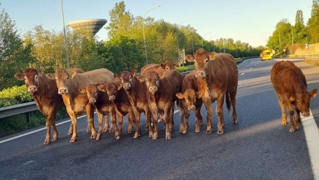 Une photo prise sur l'autoroute A4 le 24 mai peu avant 7h