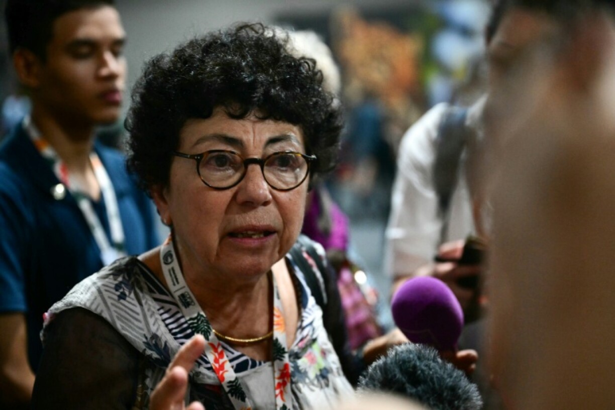 French ecological transition minister Monique Barbut said she wouldn't call COP30 a success, but it's not a setback either