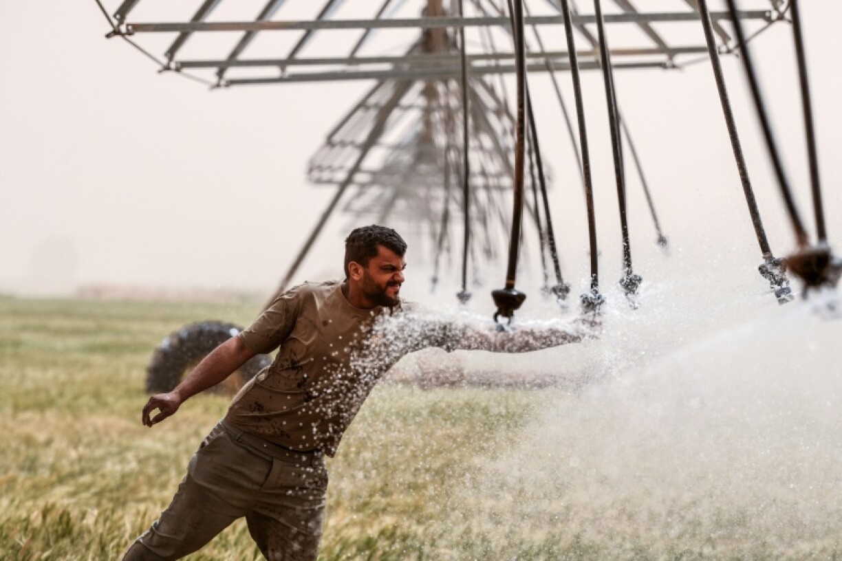 Farmer Zain al-Abidin adjusts the irrigation system in Najaf, where desert farming has expanded considerably