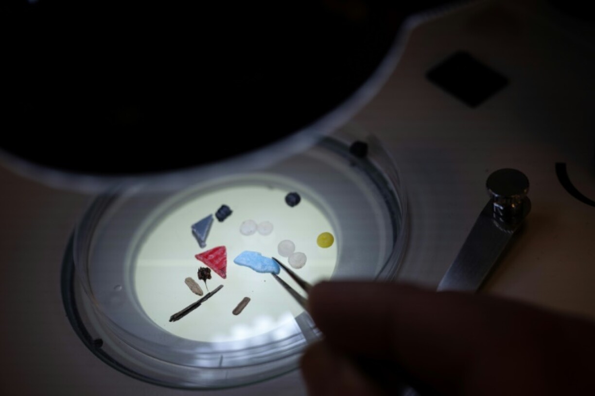 Microplastics under a microscope in a laboratory at the University of Plymouth