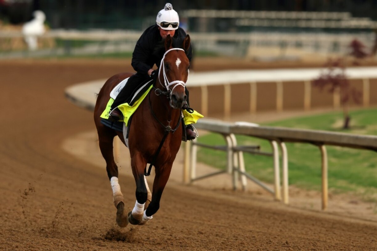 Early favorite Journalism trains prior to the running of the 151st Kentucky Derby at Churchill Downs