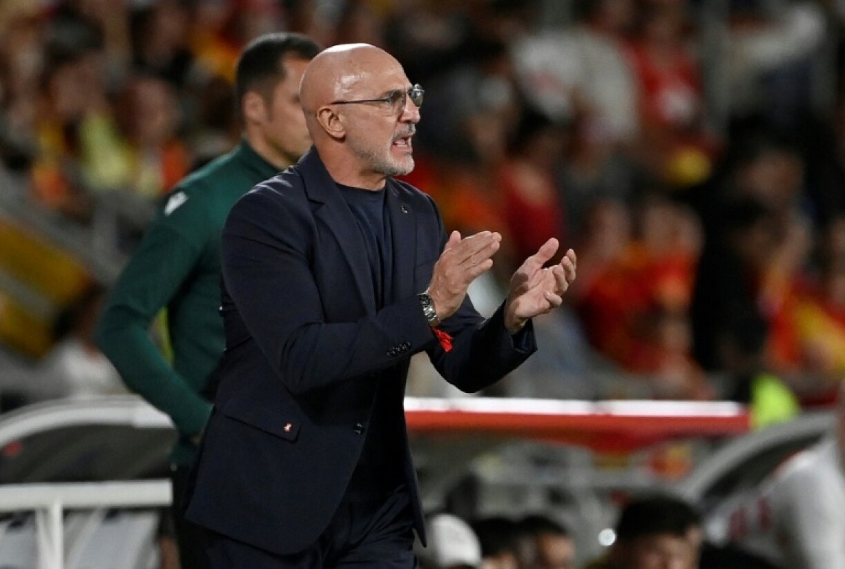 Luis de la Fuente took over as Spain coach following the 2022 World Cup