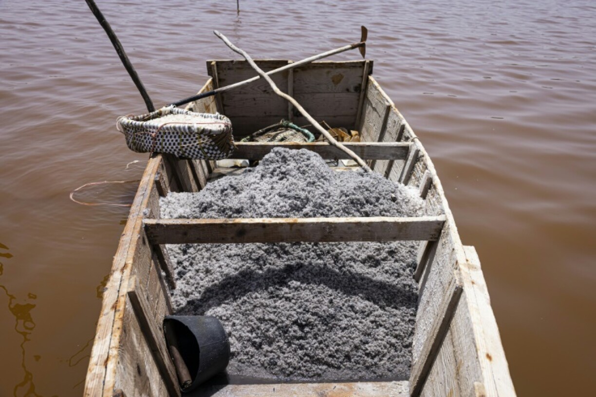 The loss of colour hit many livelihoods around the lake