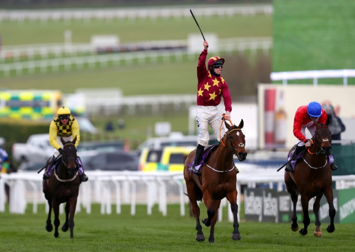 Minella Indo bids to become the third Cheltenham Gold Cup winner to add the Grand National to his laurels