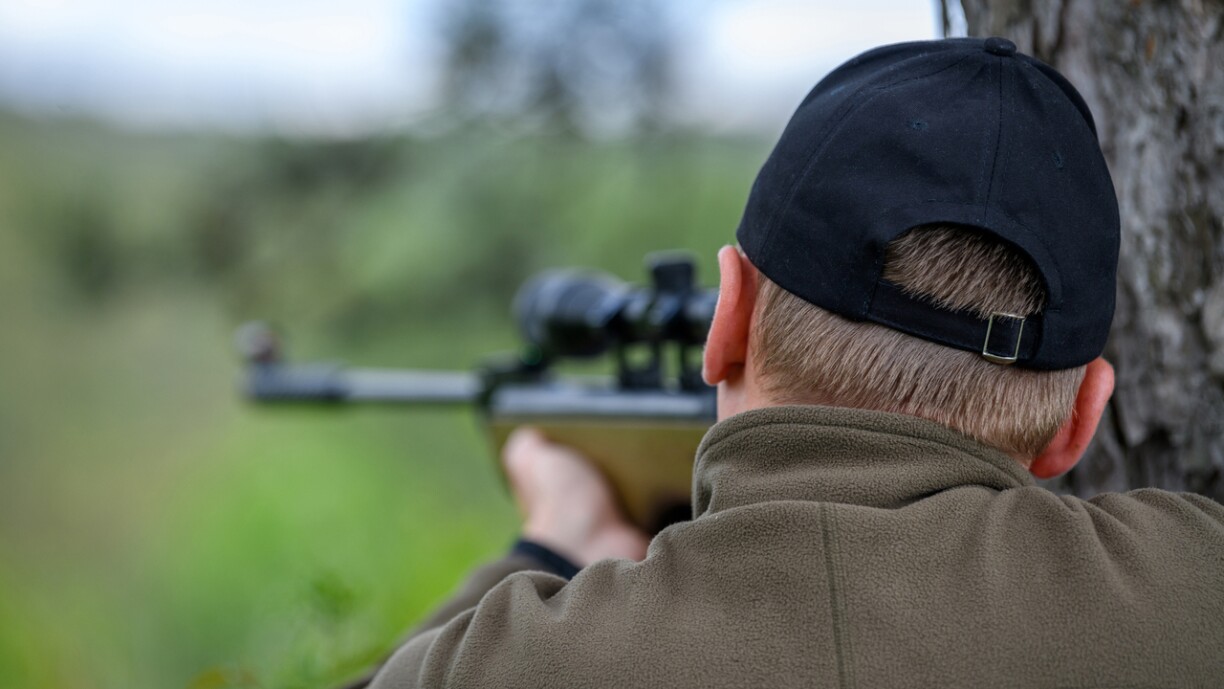 Image d'illustration