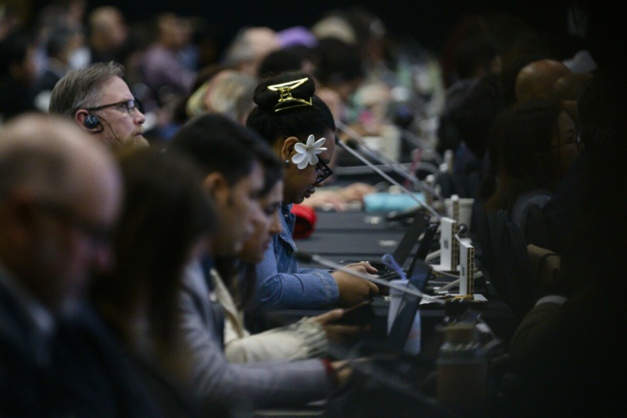 Delegates and guests attend the open plenary session in Busan on December 1, 2024