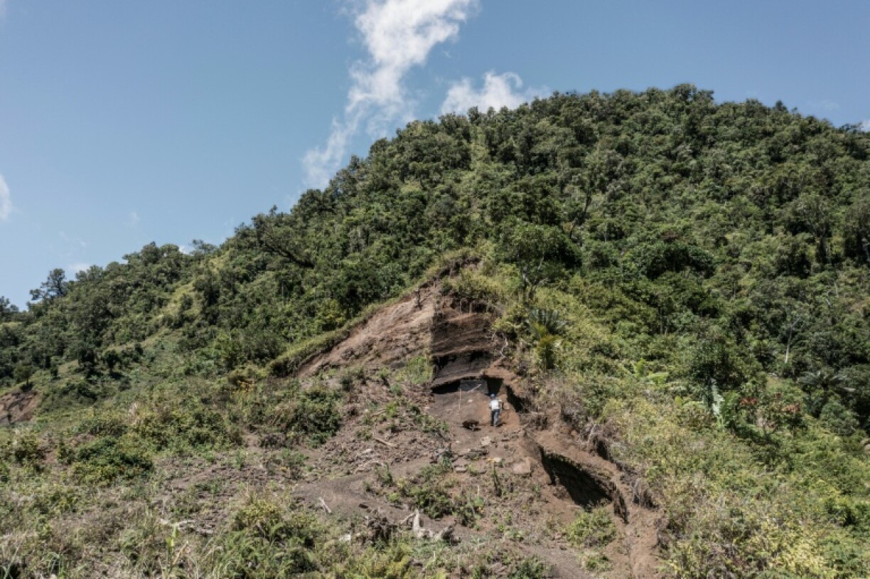 Strips of bare land scar the mountainsides towering above Mutsamudu, the capital of the Indian Ocean island of Anjouan