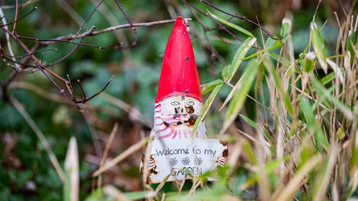 A friendly fellow at Parc Merveilleux