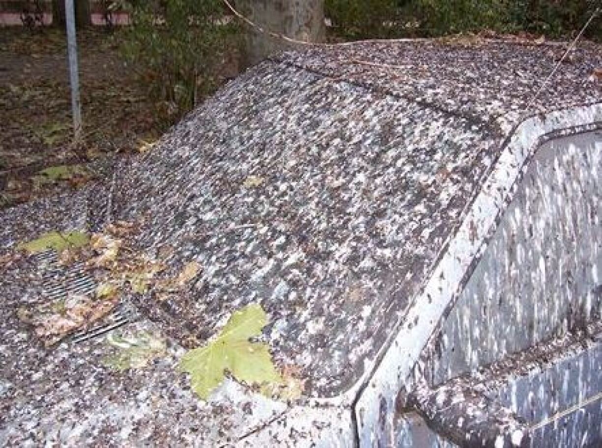 C'est pas seulement ignoble, mais c'est aussi dangereux pour votre carrosserie!