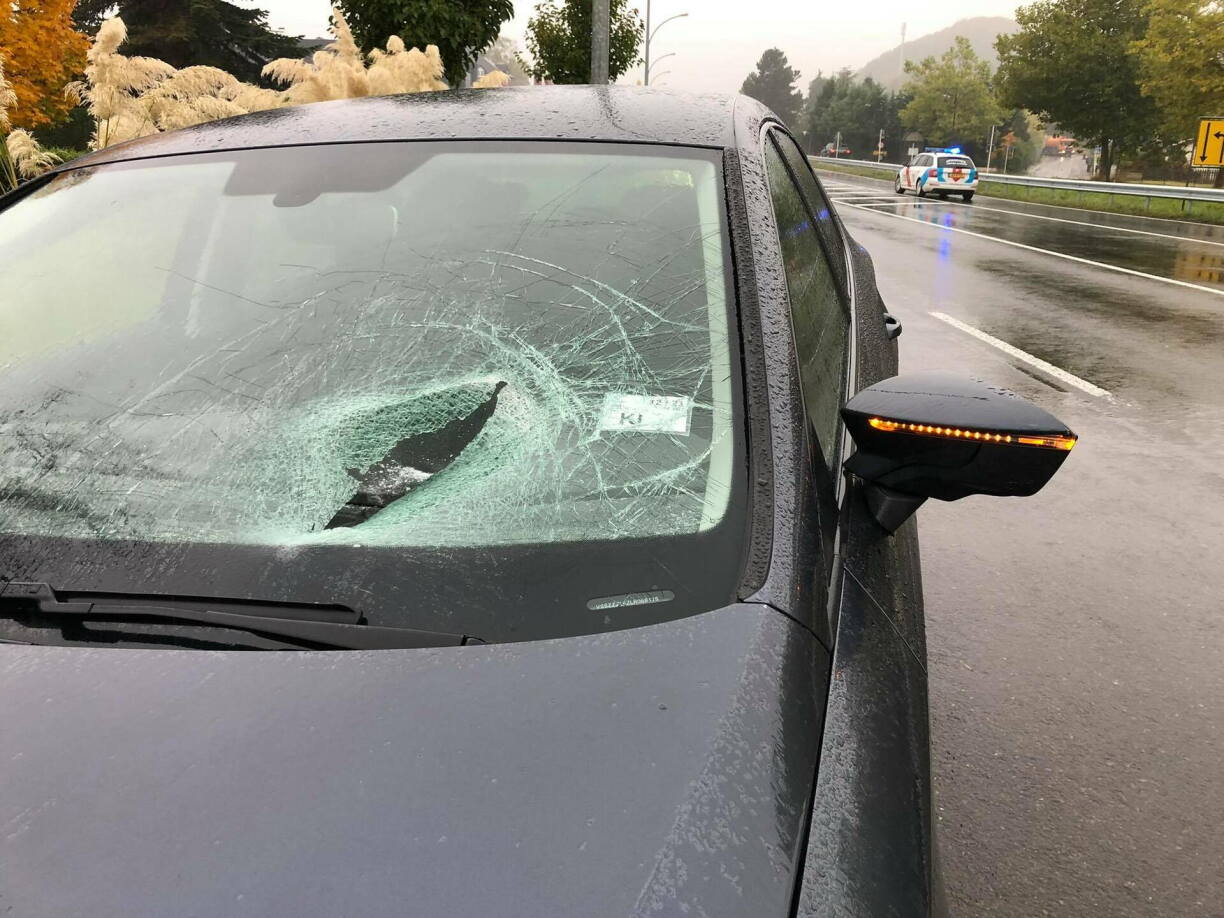 Une photo prise après l'accident qui est survenu sur la N11 le 19 octobre 2021