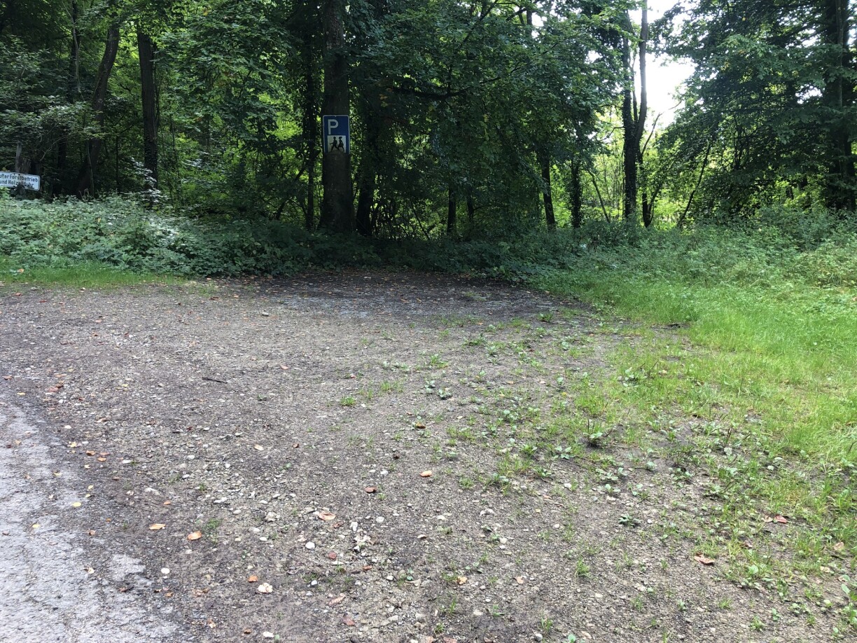 This is the spot where the car and both bodies were found, according to RTL sources.