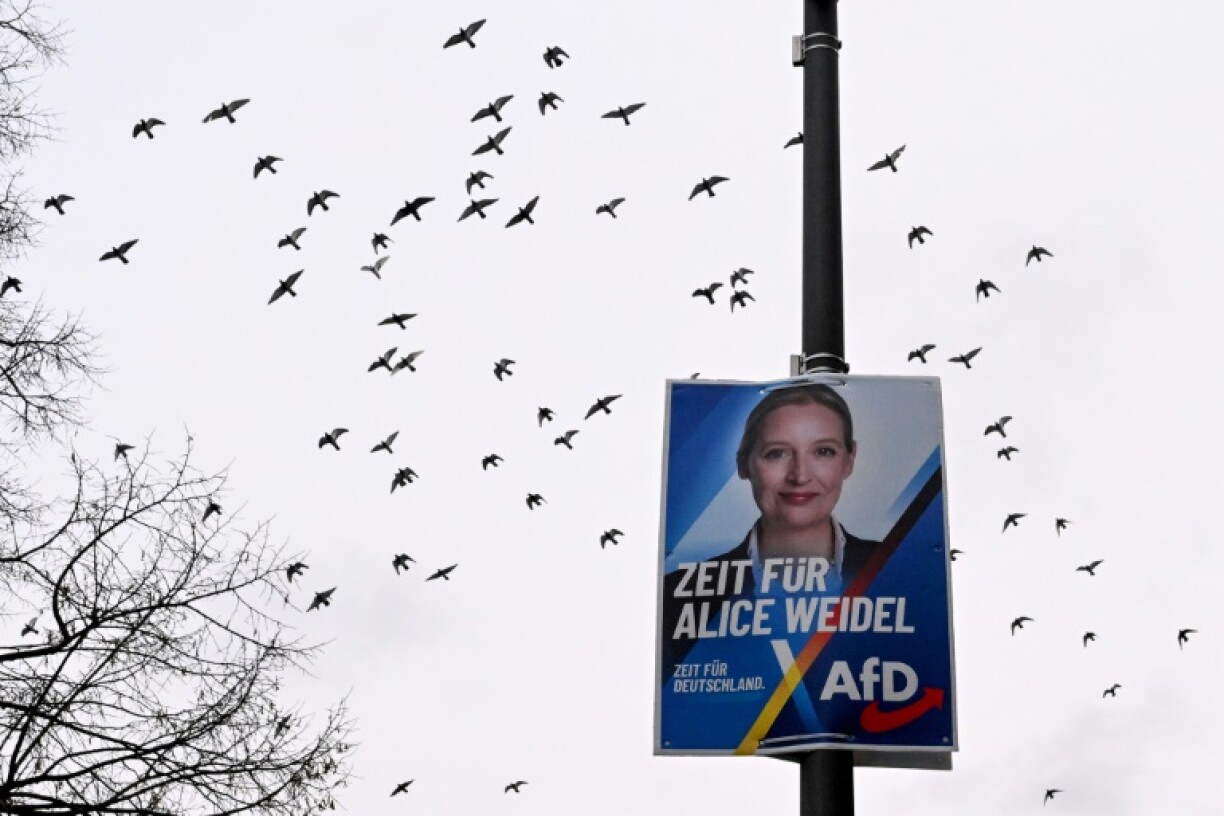 Alice Weidel is the far-right Alternative for Germany's main candidate in next month's election