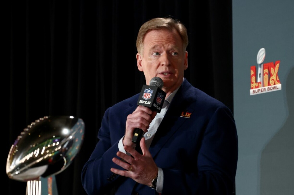 NFL commissioner Roger Goodell says conspiracy theories about league referees are 'ridiculous' ahead of Sunday's Super Bowl