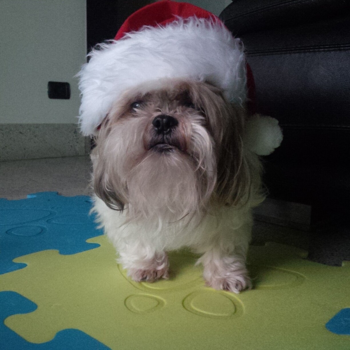 Look at Anita's little friend!