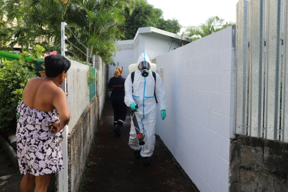 A firefighter fumigating an area of La Reunion in 2018