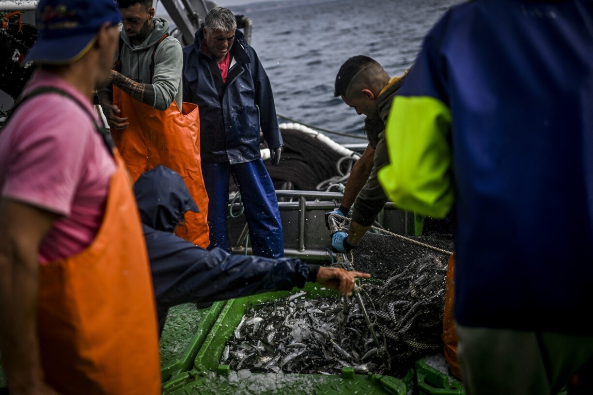 Des pêcheurs portugais remontent des filets de sardines sur leur bateau le 19 juin 2023.