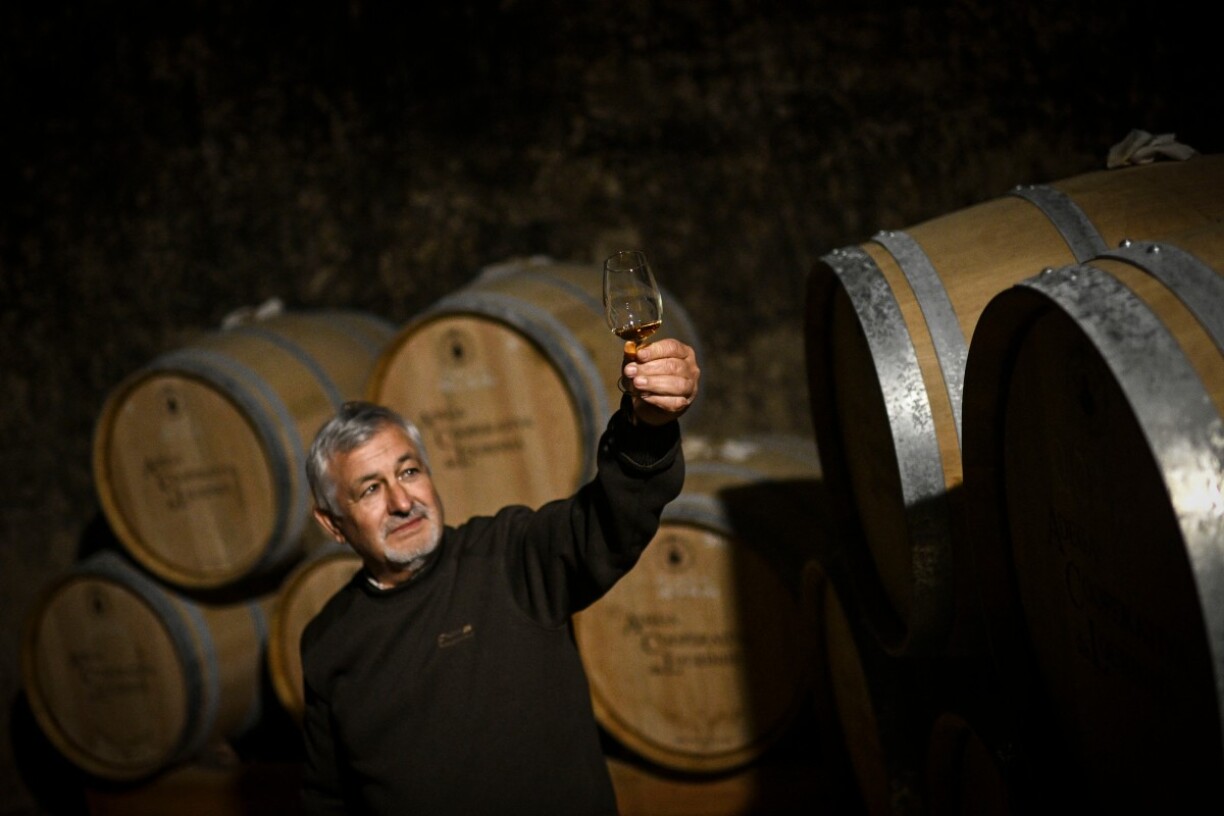Jorge Candido, vice-président de la Lourinha Cooperative Winery, qui fabrique du