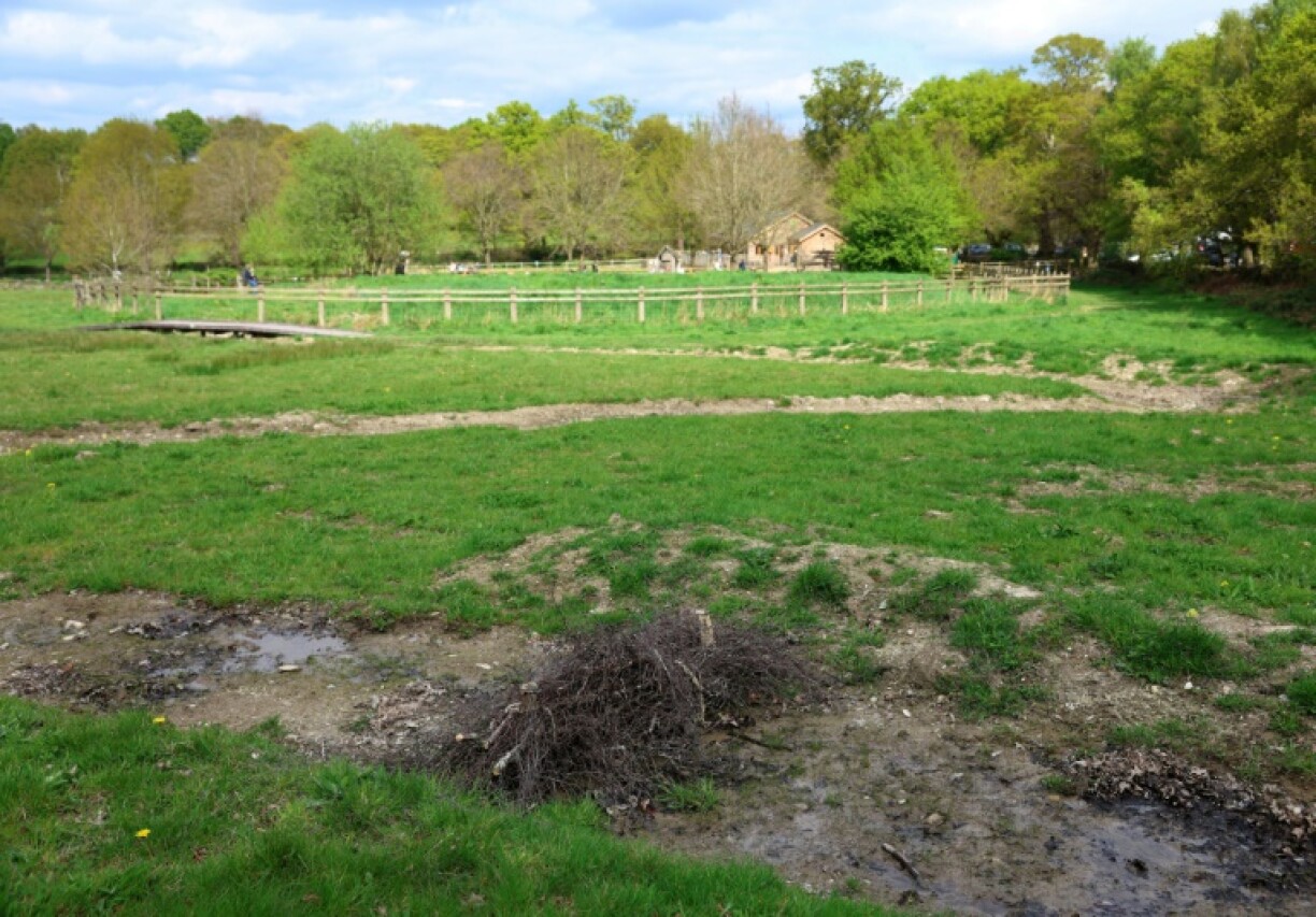 A brash bundle sits in a swale which forms part of a natural flood management scheme at Beacon Hill near Loughborough
