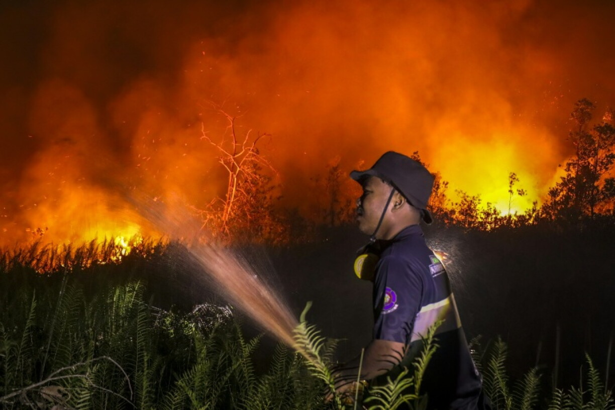 Peatland fires raging in Indonesia are responsible for much of the dry season haze