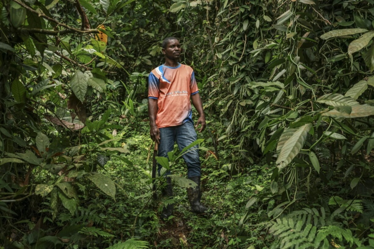 Ifrasio de Barros Rompao's mother farmed cocoa but he has turned to vanilla because of the promise of more profits from the lucrative spice