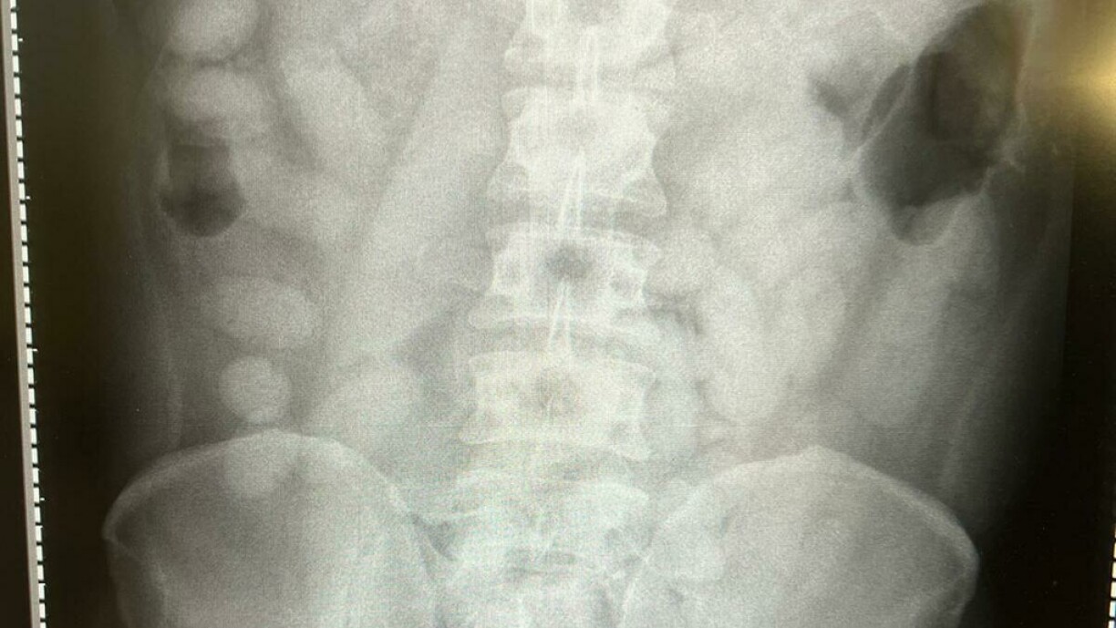 Une radiographie du trafiquant présumé