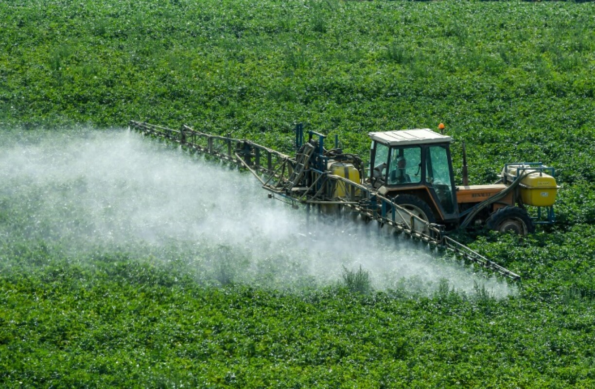 La France, première puissance agricole européenne, a du mal à s'en passer: les pesticides restent considérés comme un