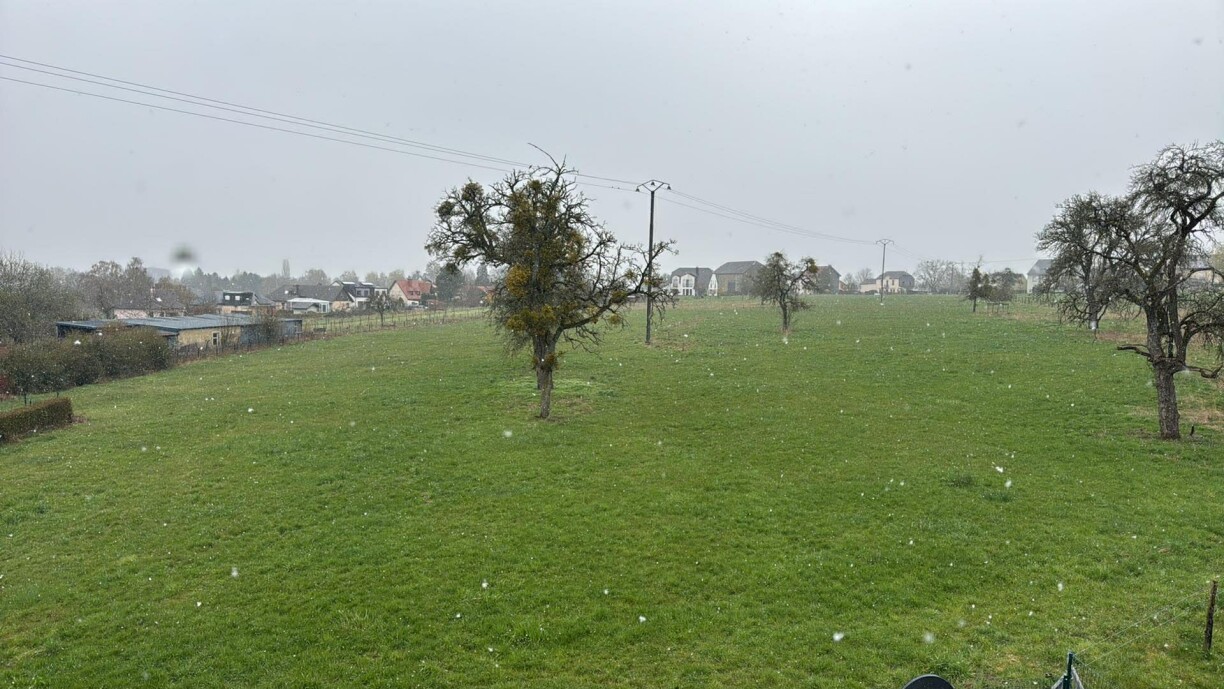 Dans l'est du pays, à Consdorf par exemple, les flocons tombent mais ne tiennent pas au sol.
