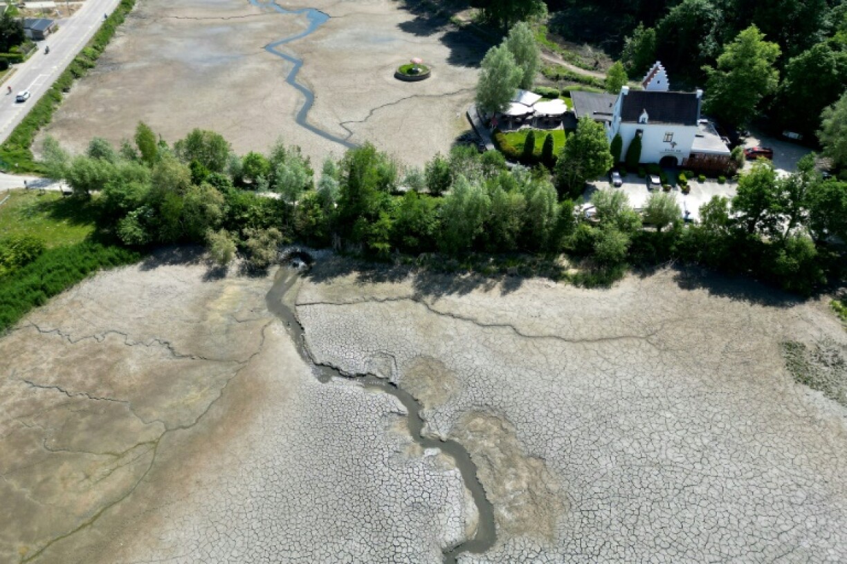 A nearly dry pond near Oud-Heverlee in Belgium