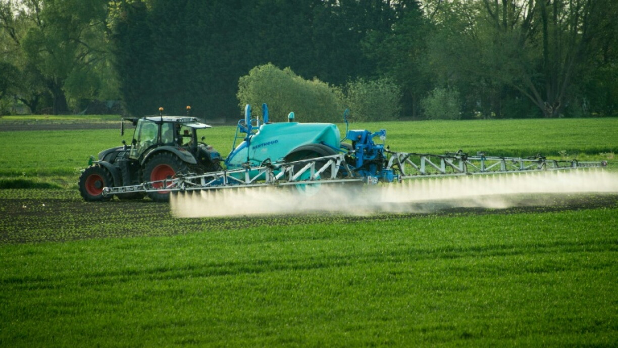 La loi d'urgence agricole prévoit la réintroduction dérogatoire pour quelques filières de deux pesticides interdits en France mais autorisés ailleurs en Europe