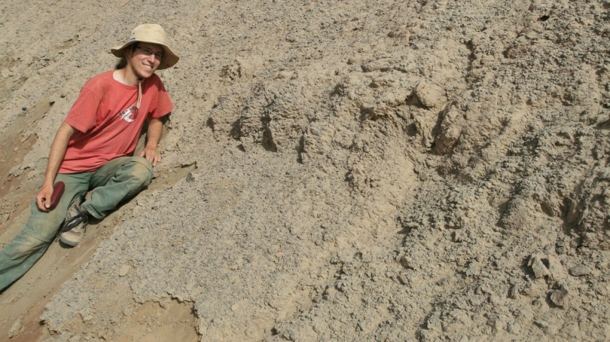 Op enger Ausgruewung an der Taklamakan-Wüst
