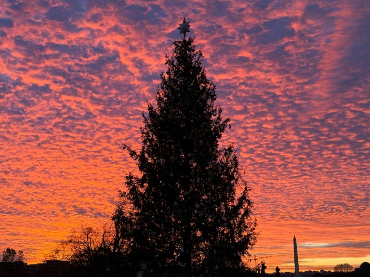 The United States looked like it might be heading into the Christmas holiday with government departments unfunded and operations ground to a halt