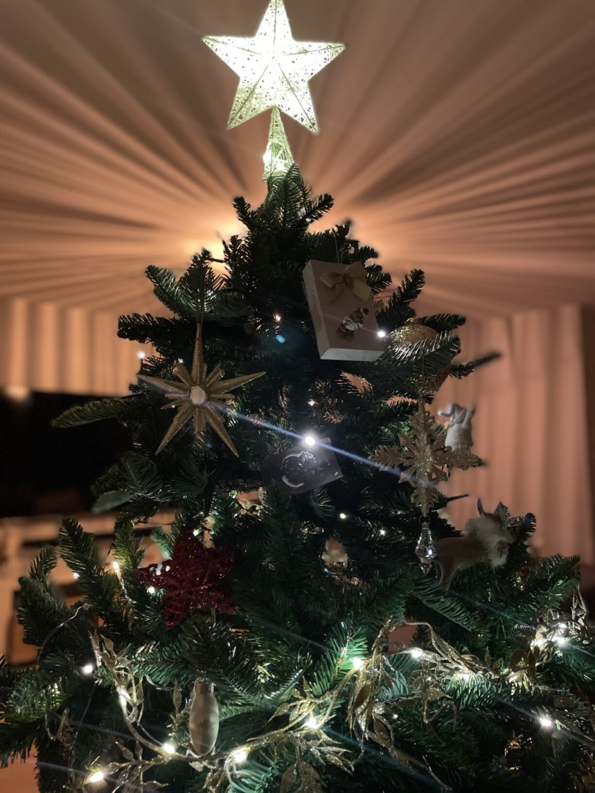 Irene and her family don't have gifts under the tree, but in them!