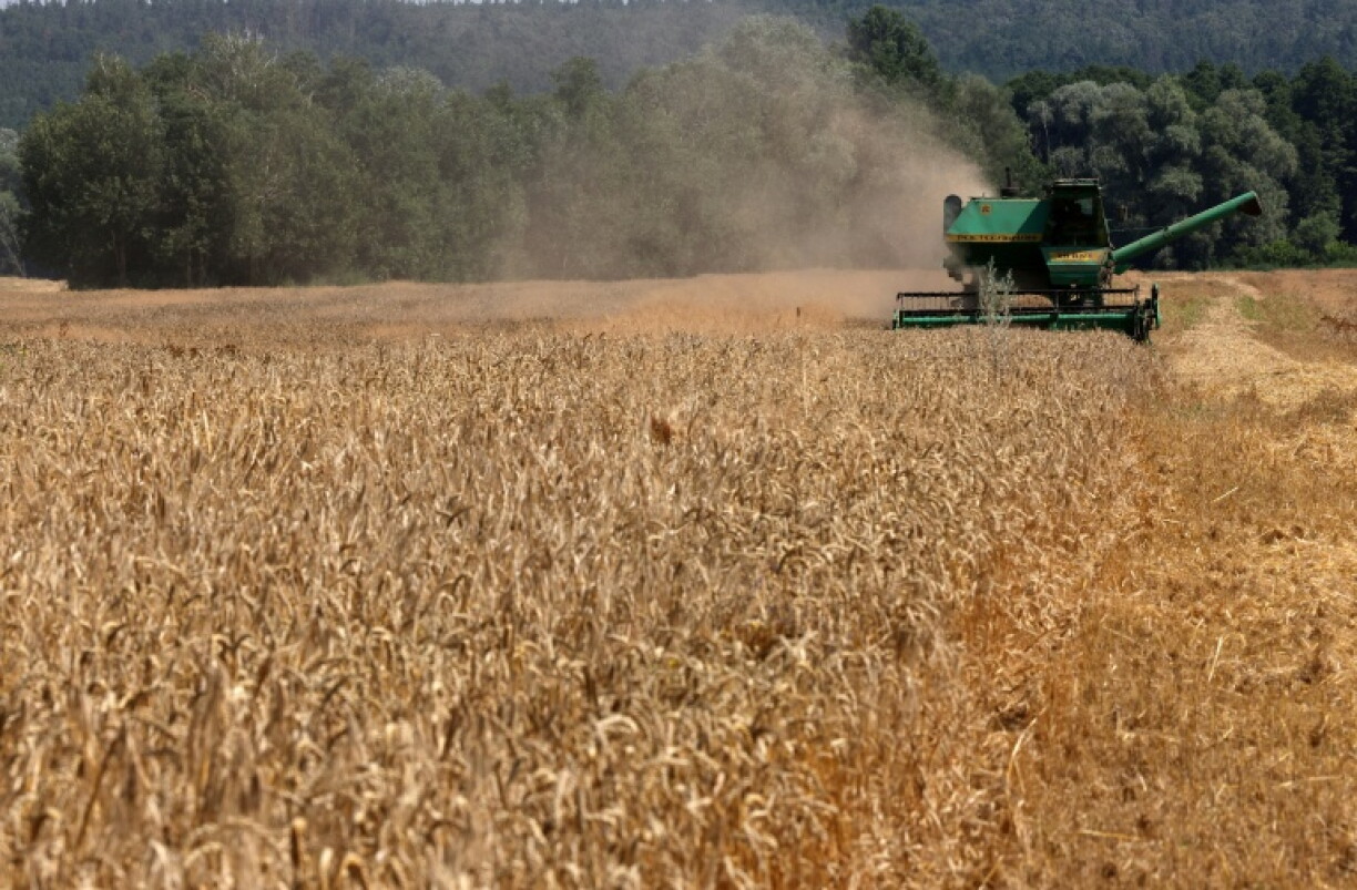Ukraine, which is a major exporter of corn, wheat, colza, sunflower seeds and vegetable oil, submitted its EU membership bid days after Russia's full-scale invasion in February 2022