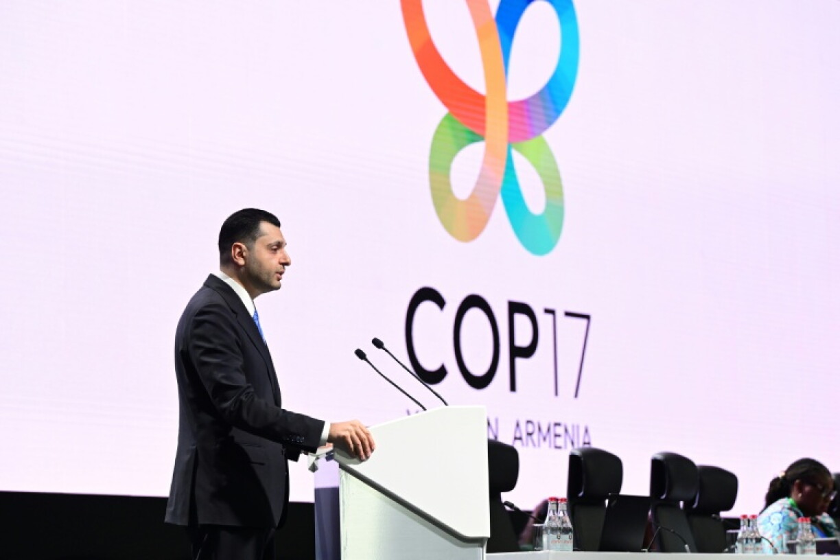 The UN biodiversity negotiations have entered their final week in Yerevan, Armenia
