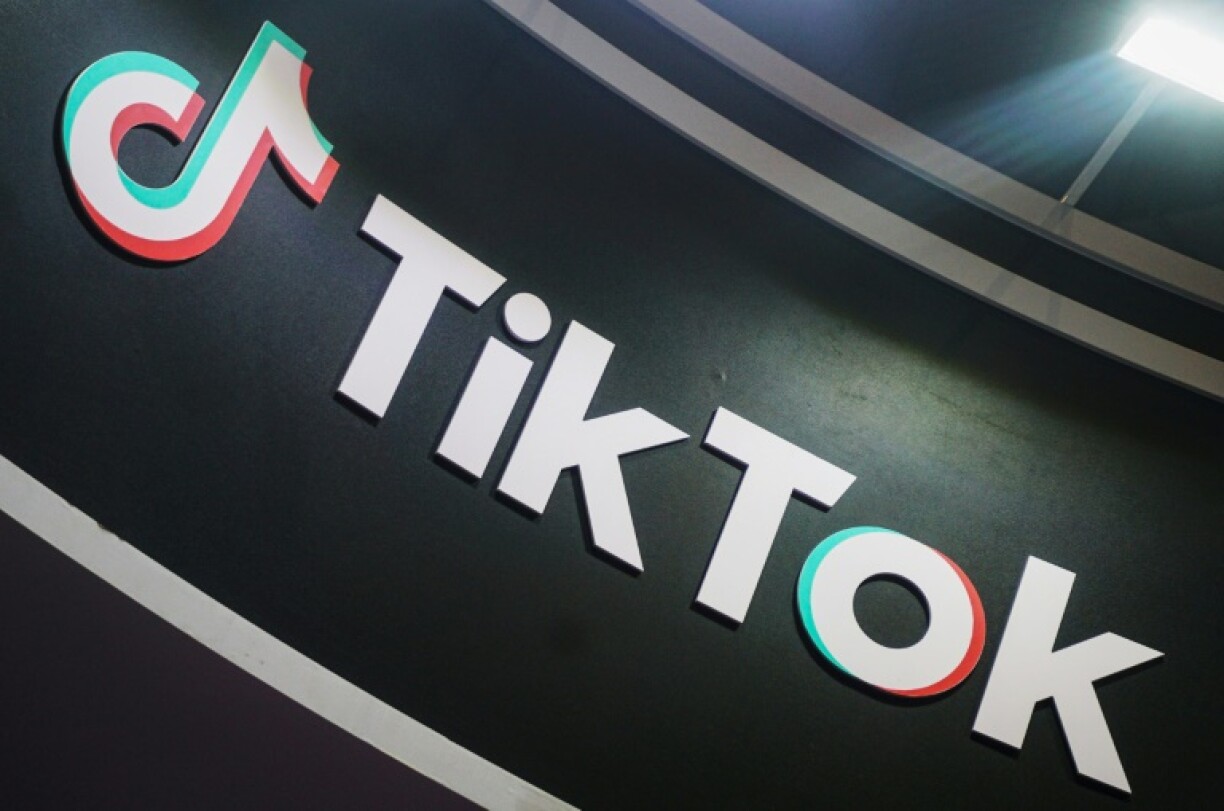 The ban on TikTok in Albania is set to last 12 months