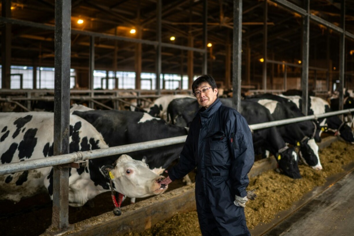 L'éleveur Eiji Mizushita dans sa ferme à Taiki, le 6 décembe 2023 dans la préfecture d'Hokkaido, au Japon