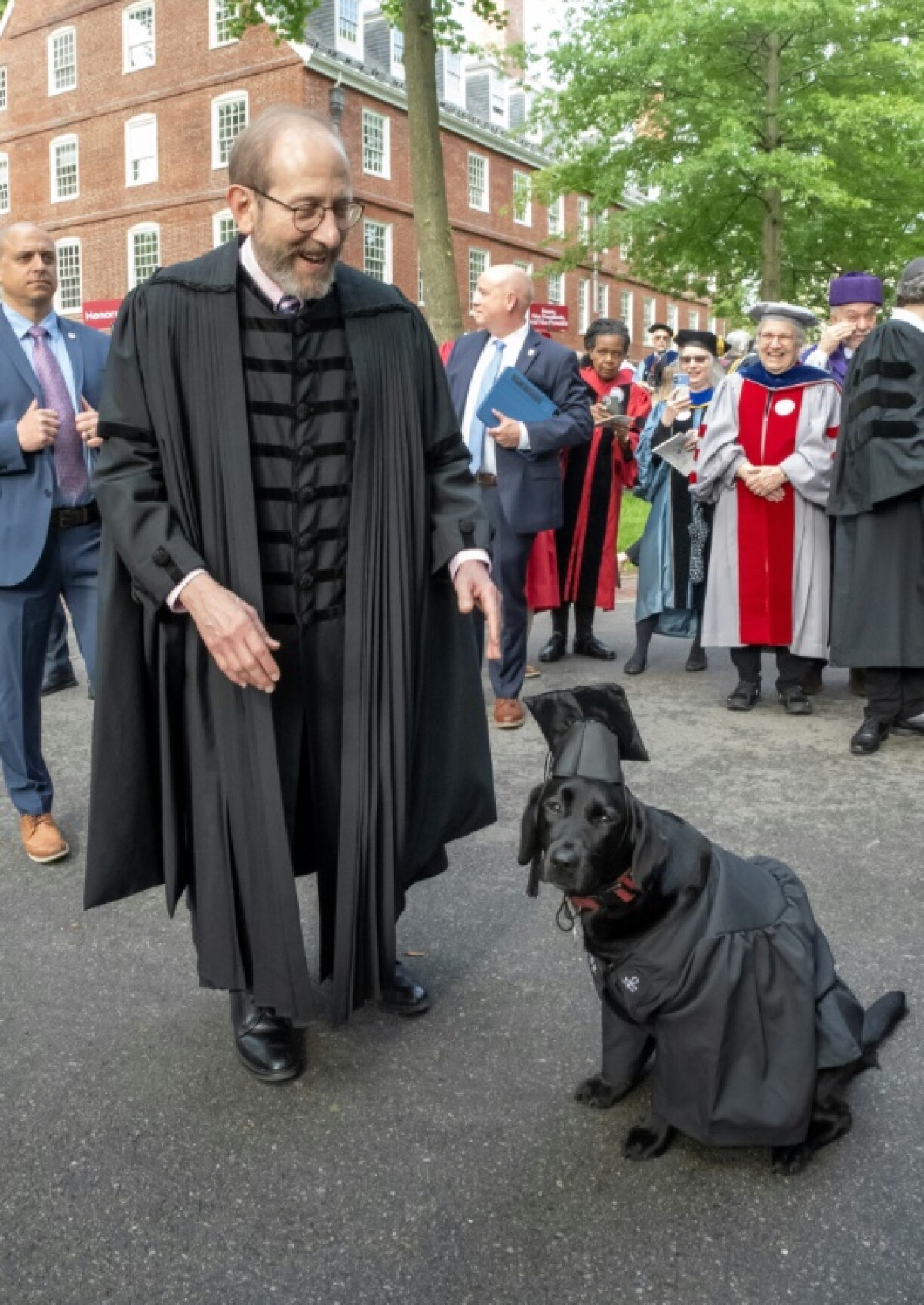 Harvard President Alan Garber stands with a Harvard police dog in a cap and gown at a commencement ceremony on May 29, 2025