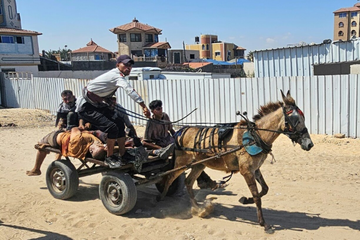 Some of those wounded are brought for treatment by donkey cart