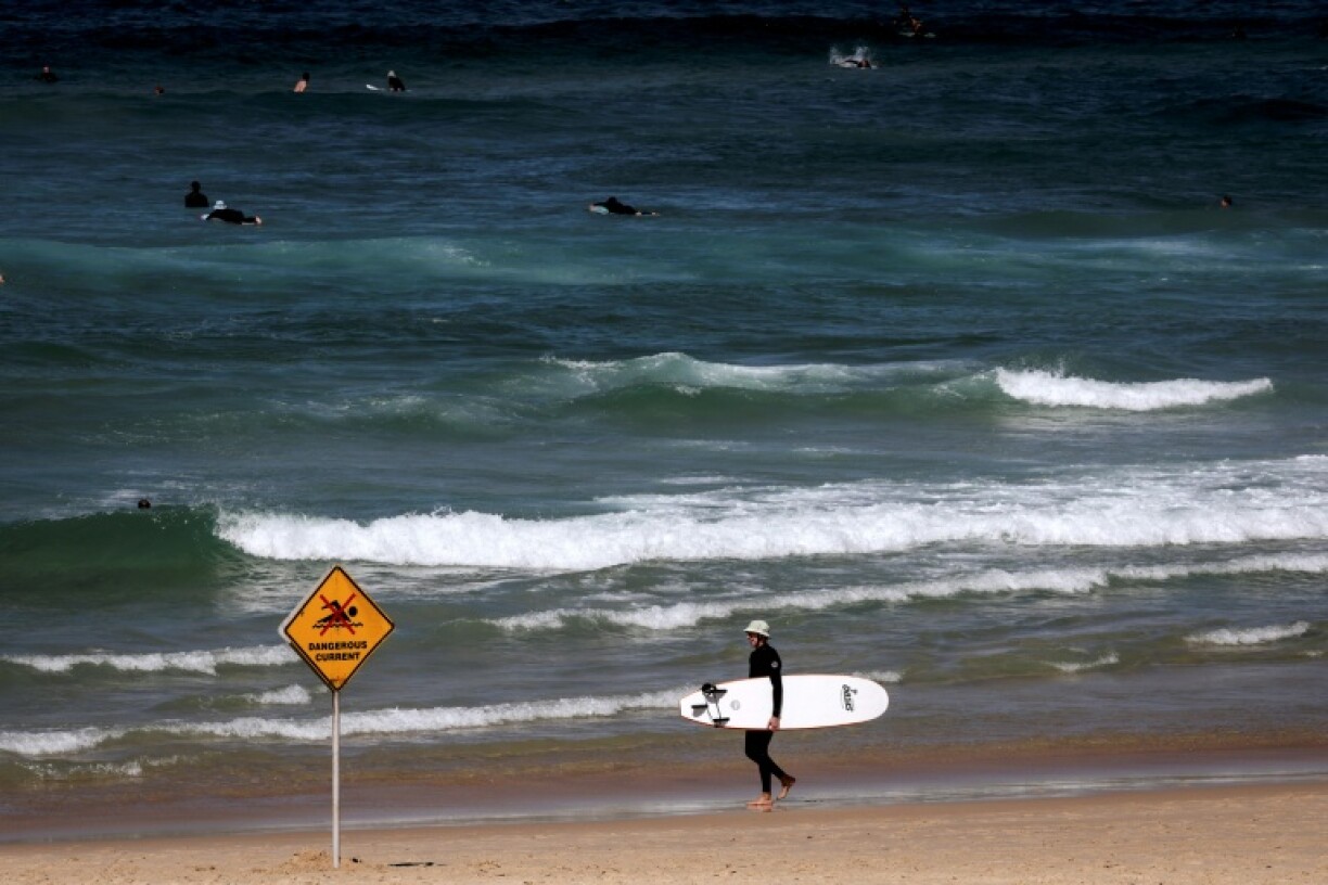 One day after a deadly shark attack in Sydney, surfers ride the waves at the city's Bondi Beach