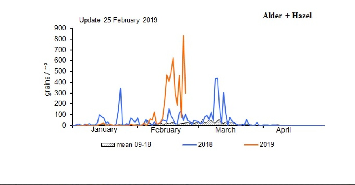 Les taux de pollen par m3 pour le noisetier et l'aulne.