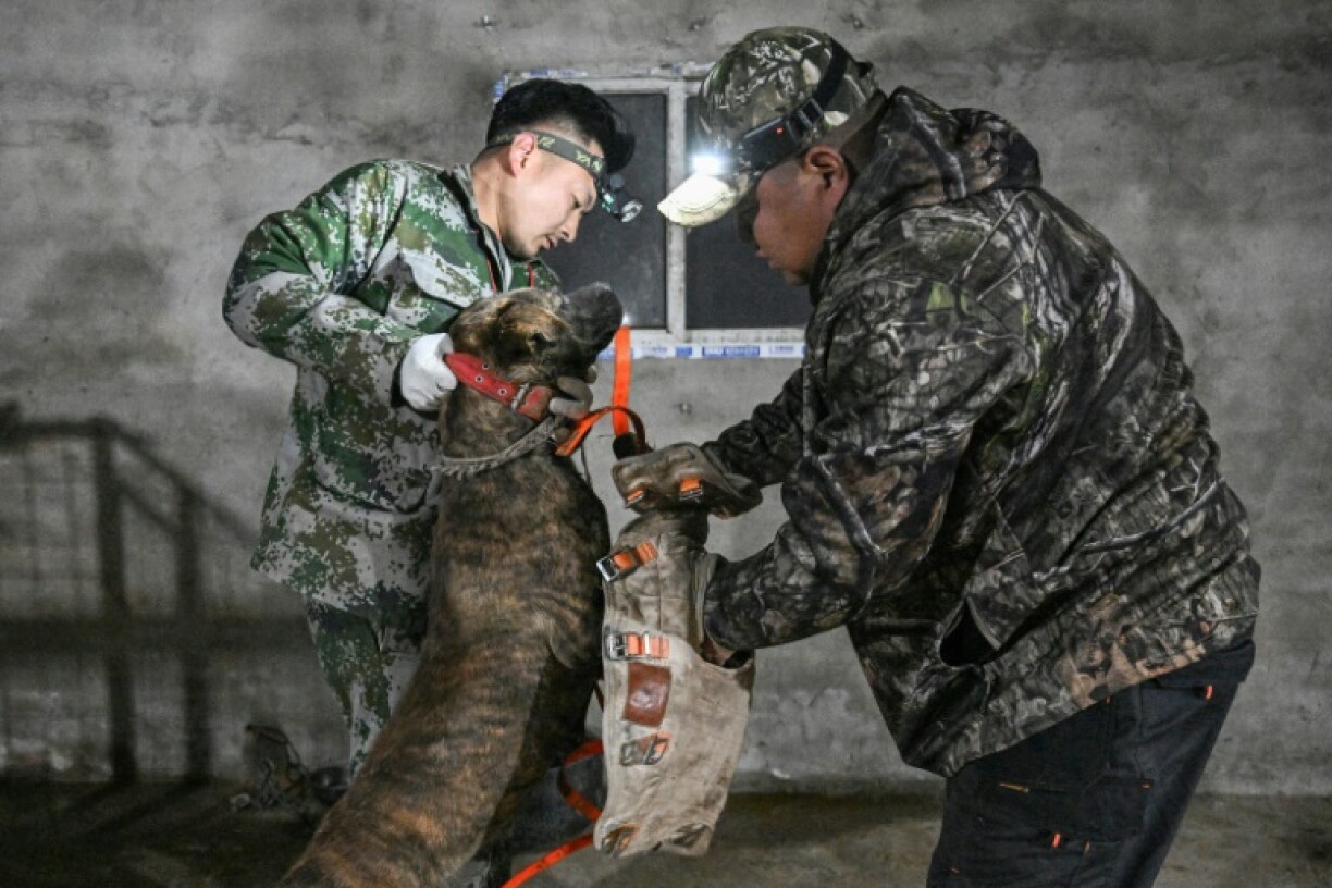 Hunters put protective gear on a dog before a nighttime wild boar hunt in Weinan, in northern China's Shaanxi province