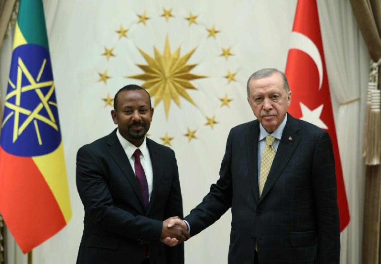 Ethiopia's Abiy Ahmed, seen here shaking hands with Turkey's Recep Tayyip Erdogan, said the deal would mean Ethiopia and Somalia could 'enter the New Year in a spirit of cooperation and friendship'