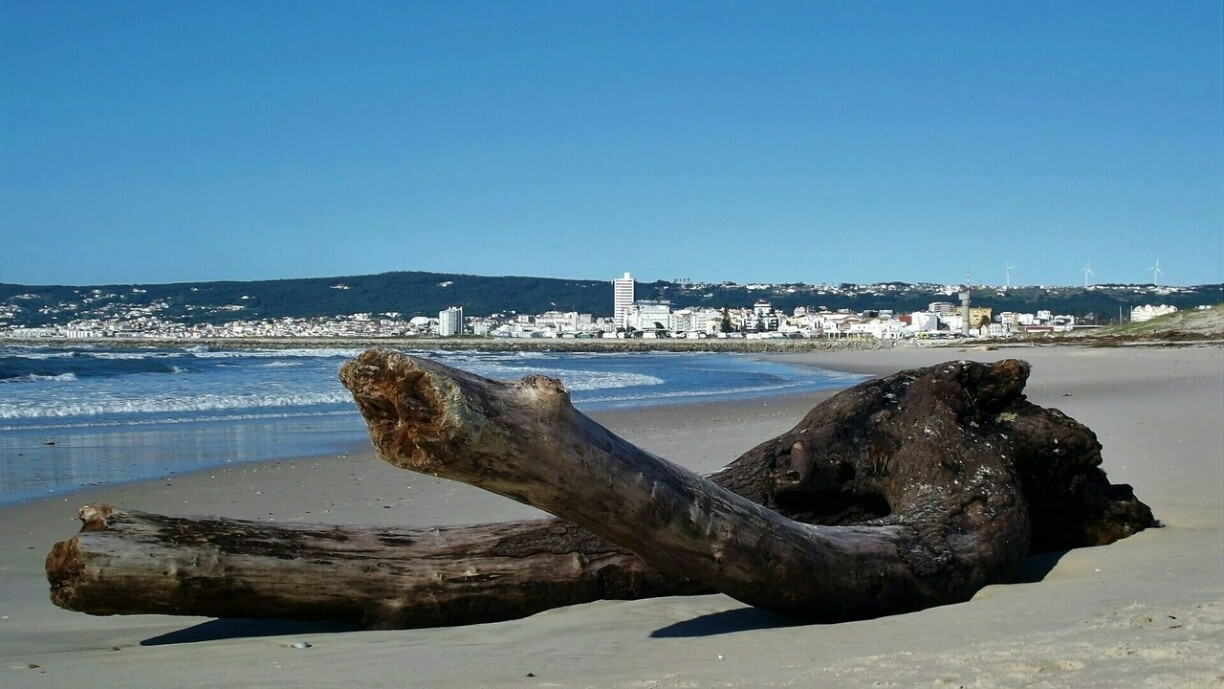 La ville de Figueira da Foz vue depuis la plage