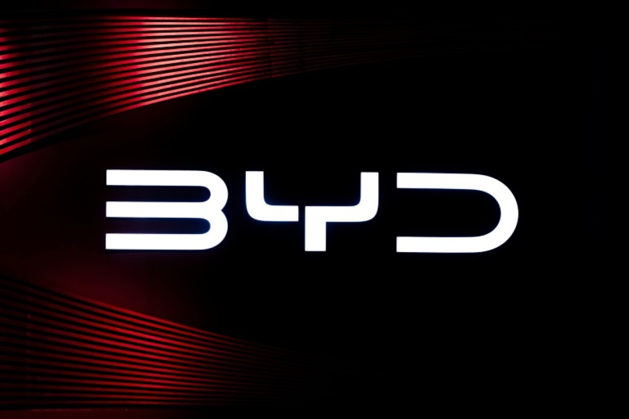 BYD was not singled out by name, but a leading China automakers group warned of a